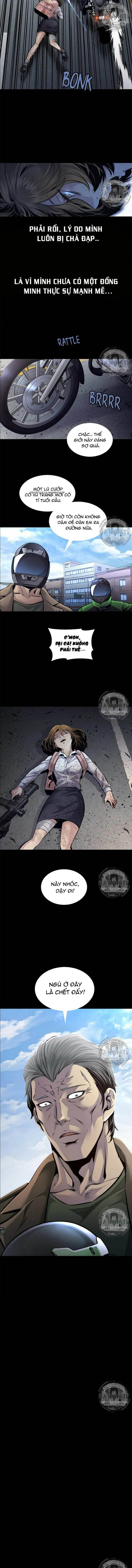 Đọc truyện Hive - Thảm họa ong độc - Chap 294